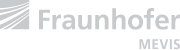 logo fraunhofer-mevis